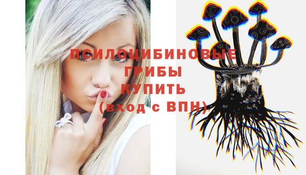 сатива Краснотурьинск