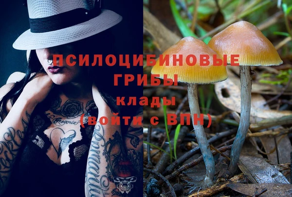 сатива Краснотурьинск